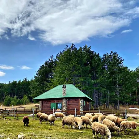 Holiday home Mali Tornik *