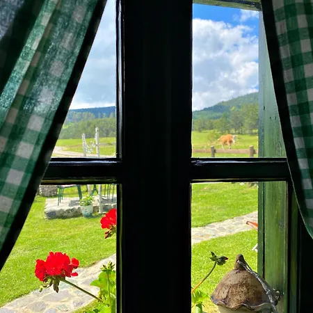 Mali Tornik Dom wakacyjny Zlatibor